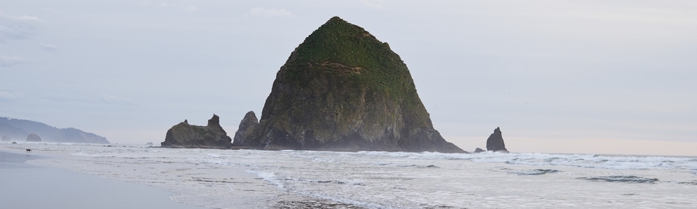 Cannon Beach Sandcastle Contest | KEY Home Furnishings, Portland OR